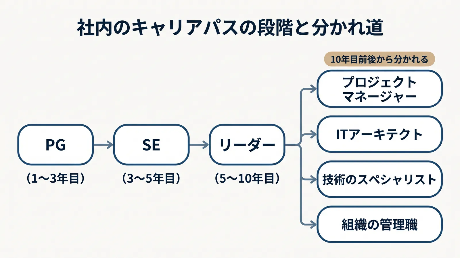 社内のキャリアパスの段階と分かれ道。PG(1〜3年目)、SE(3〜5年目)、リーダー(5〜10年目)と進み、10年目前後からプロジェクトマネージャー・ITアーキテクト・技術のスペシャリスト・組織の管理職の4つに分かれる